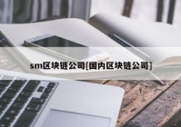 sm区块链公司[国内区块链公司]